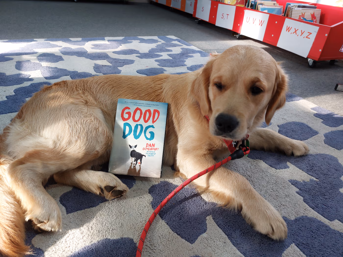 A Nushy Co golden retriever lying on a library mat beside a picture book titled Good Dog